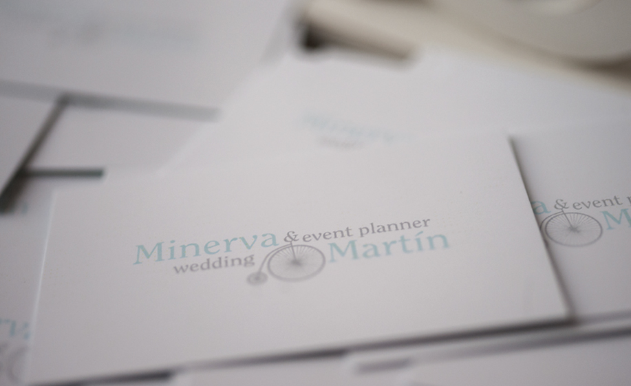 Identidad Minerva WP