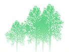 Diseño Web